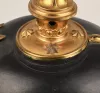 Mecklenburg Schwerin Infantry Officer Pickelhaube Visuel 17